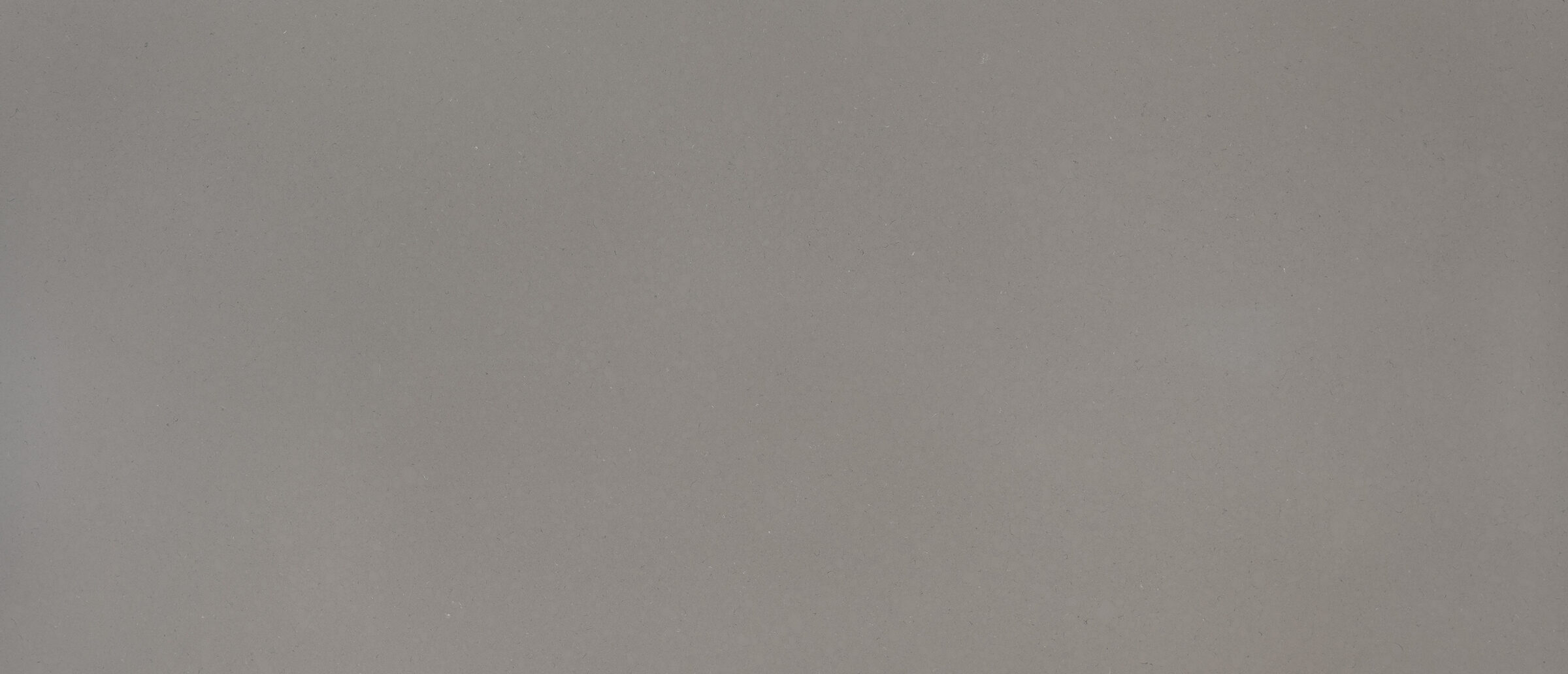 Fossil Gray Quartz