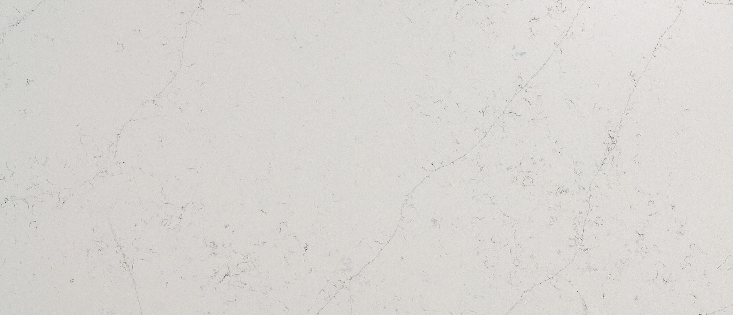 Calacatta Botanica Quartz