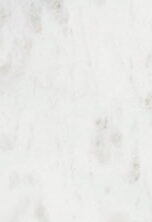Absolute White slab — product photo