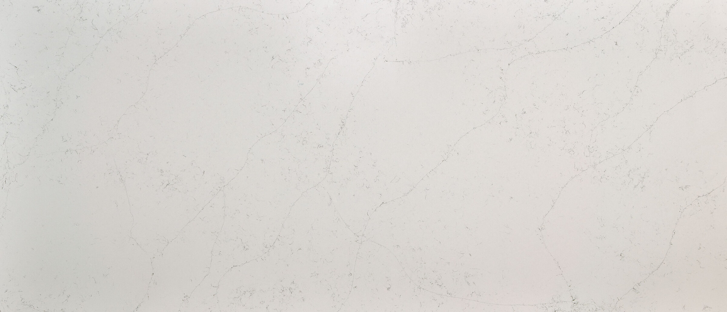 Calacatta Botanica Quartz