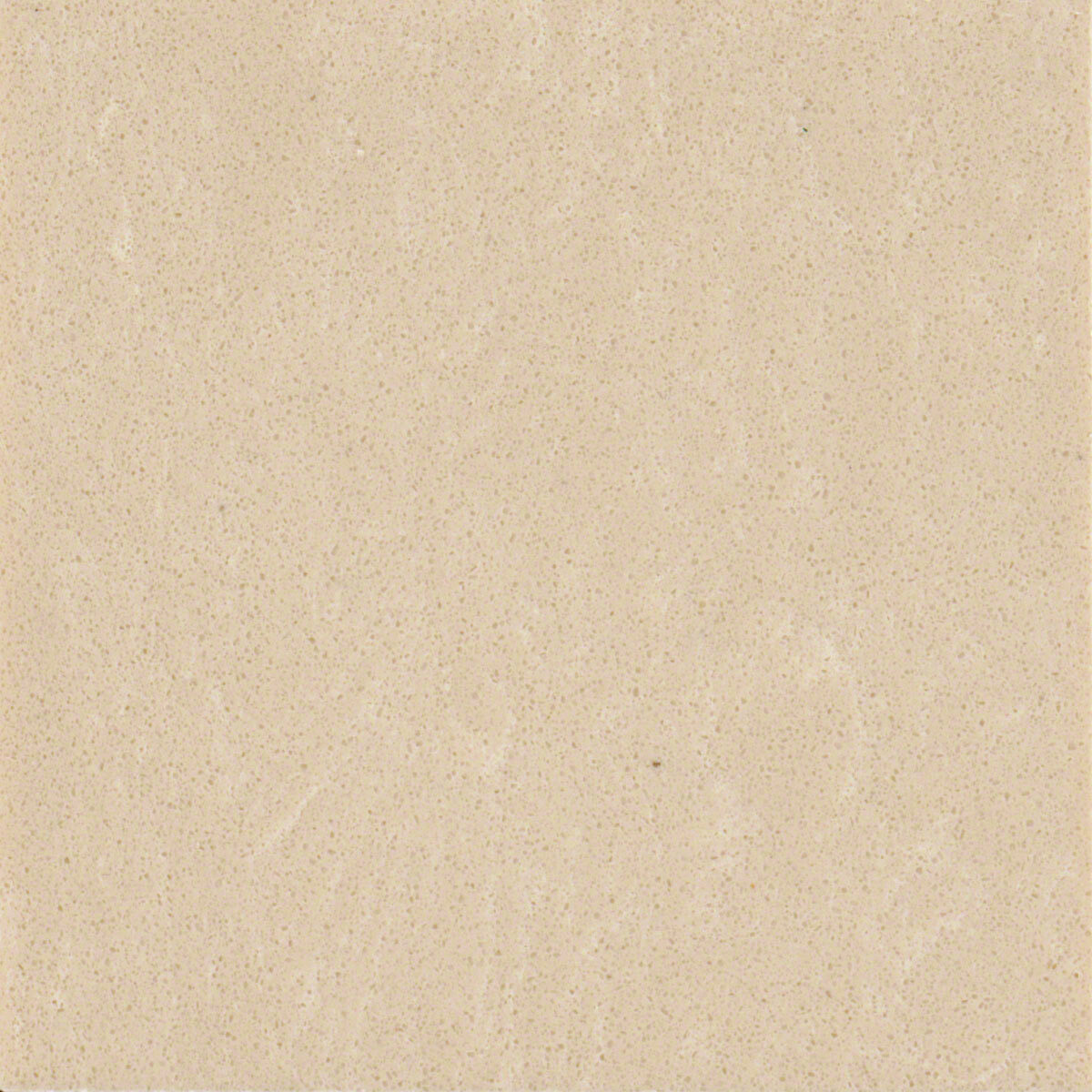 Champagne Limestone