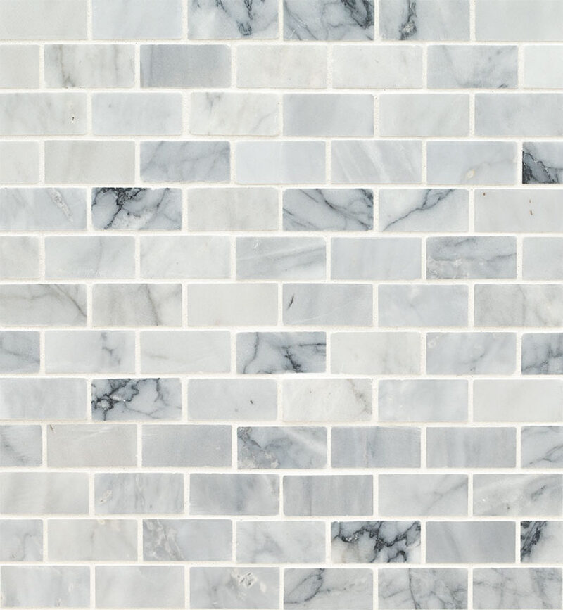 Carrara Classique Brick 1x2 Honed Tile Ceramic in a kitchen