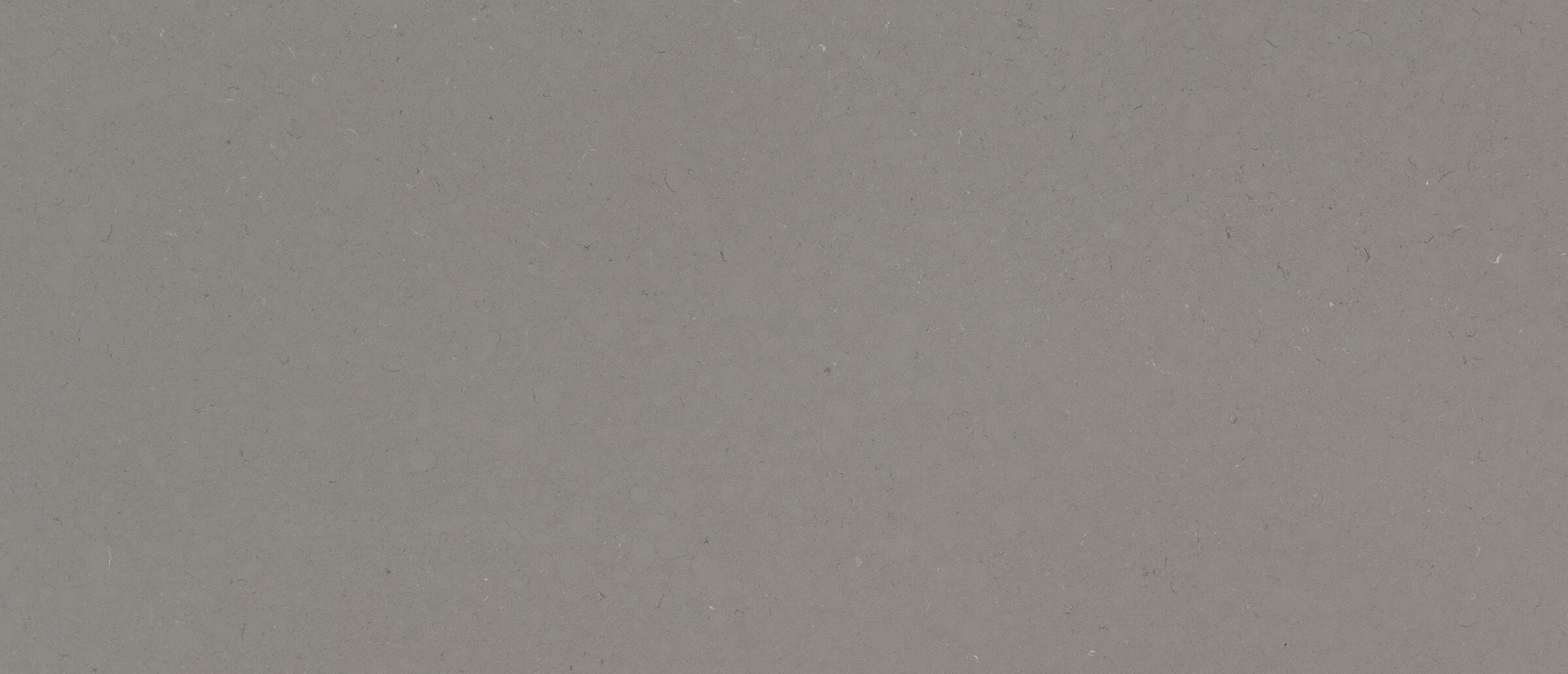 Fossil Gray Quartz
