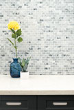Carrara Classique Brick 1x2 Honed Tile in a kitchen