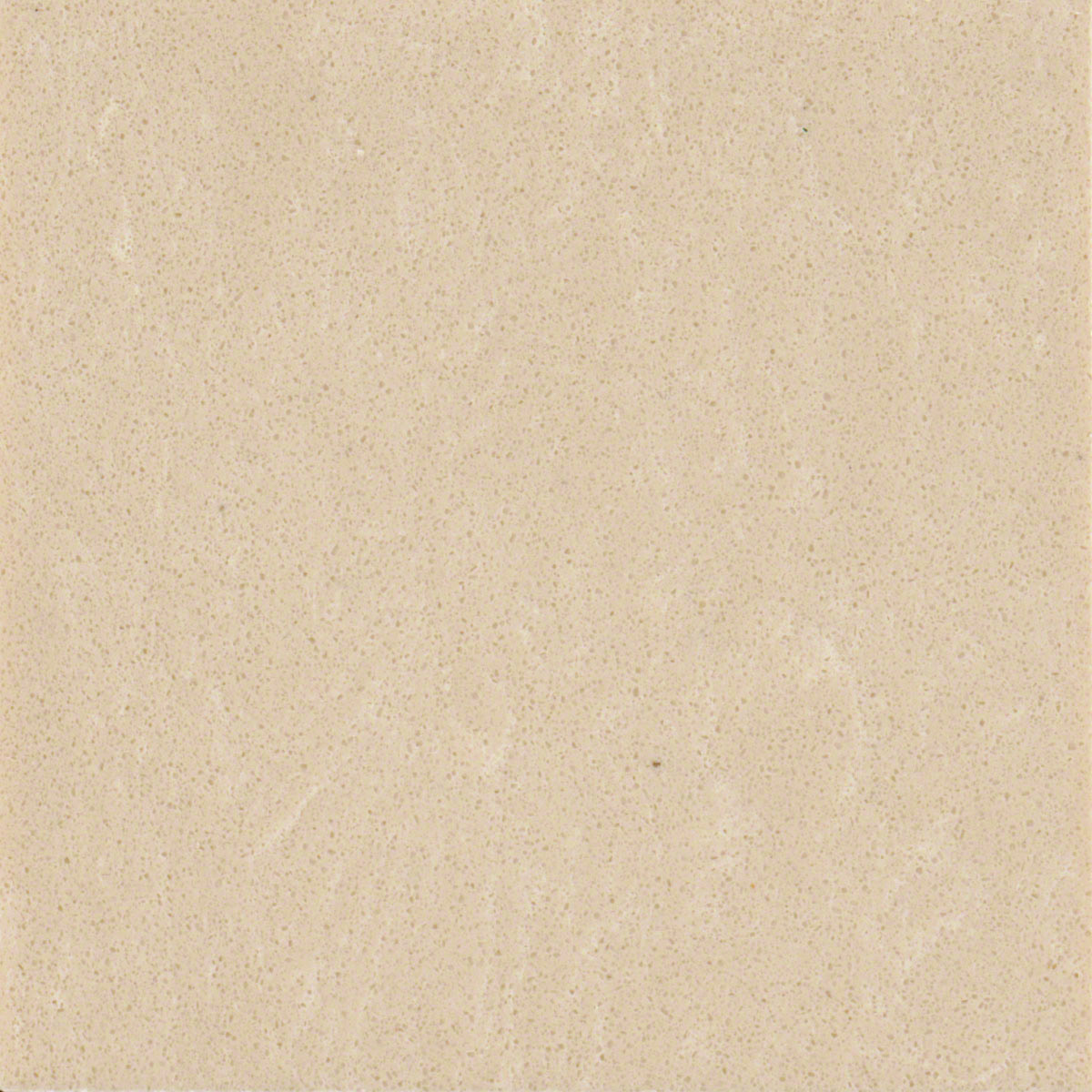 Champagne Limestone Natural Marble in a kitchen