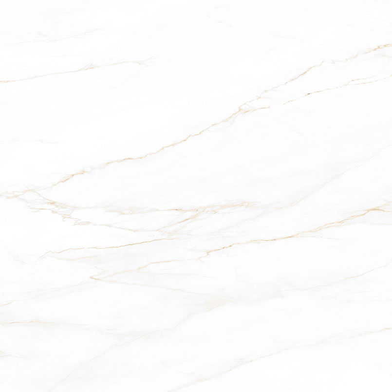 Calacatta Corrinna Porcelain in a kitchen