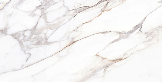 Calacatta Fiorella Porcelain in a kitchen