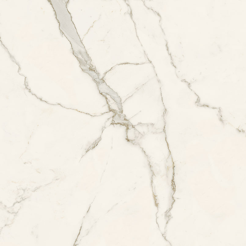 Calacatta Isla Polished Porcelain in a kitchen