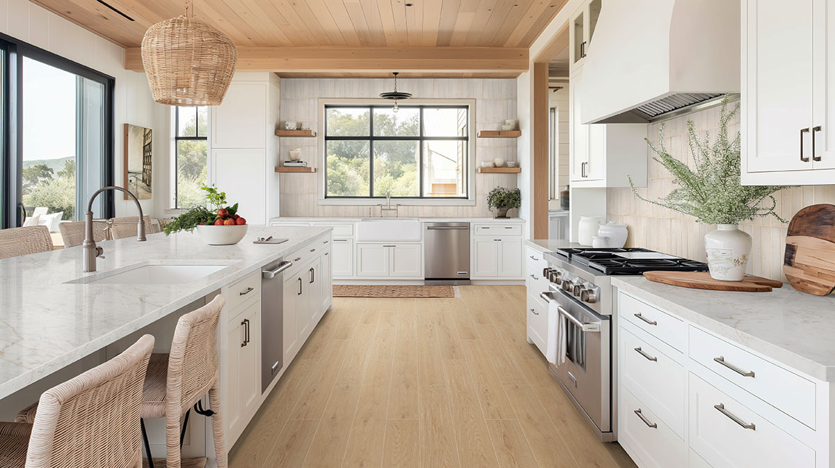 Biscotti 2x10 — installed in a kitchen (scene 1116)
