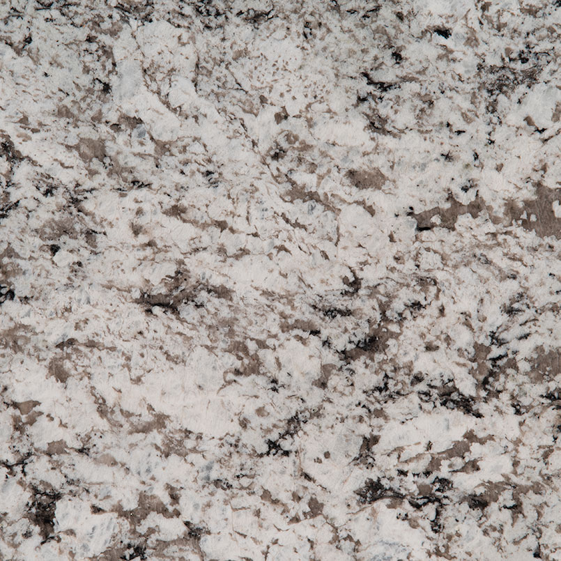 Avalon White Natural Granite in a kitchen