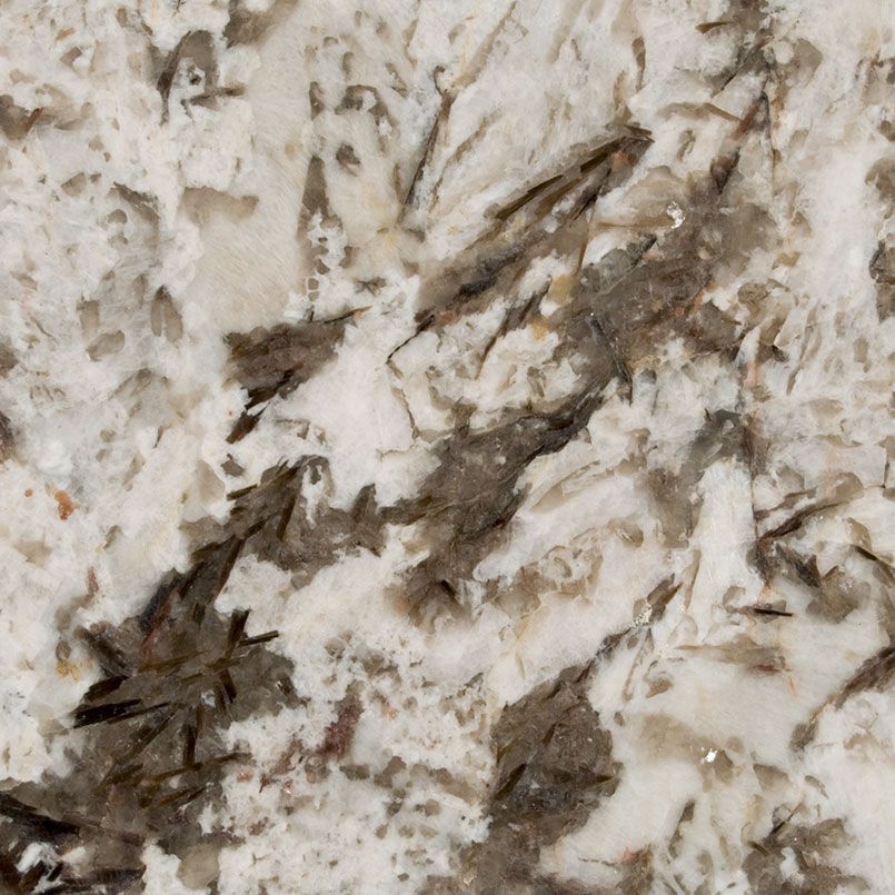 Bianco Antico Natural Granite in a kitchen