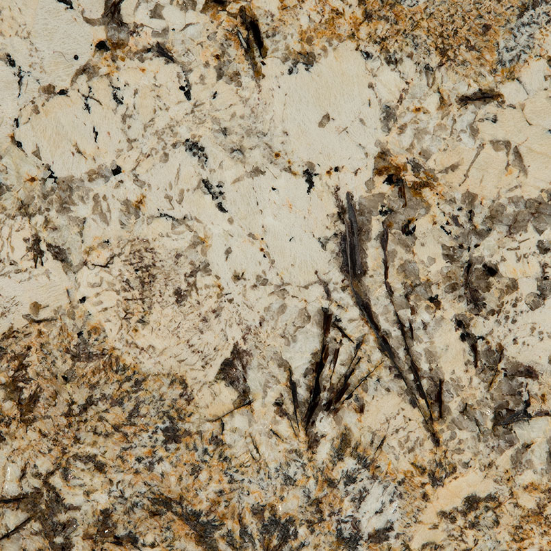Caravelas Gold Natural Granite in a kitchen