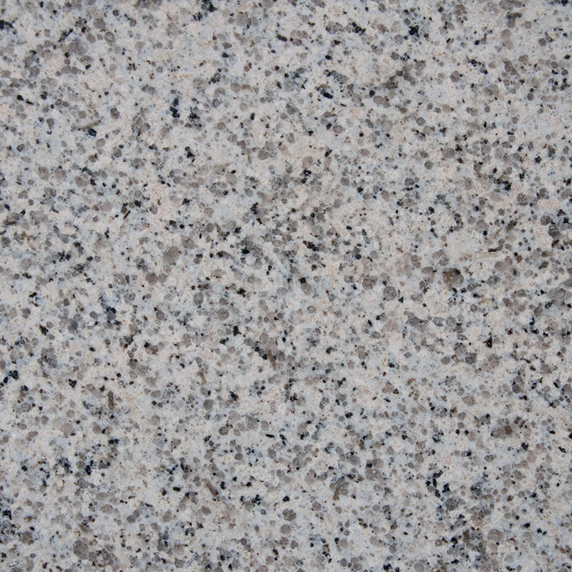 Ceara White Natural Granite in a kitchen