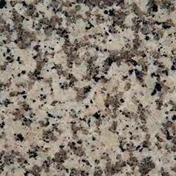 Crema Atlantico Natural Granite in a kitchen
