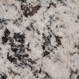Oyster White swatch