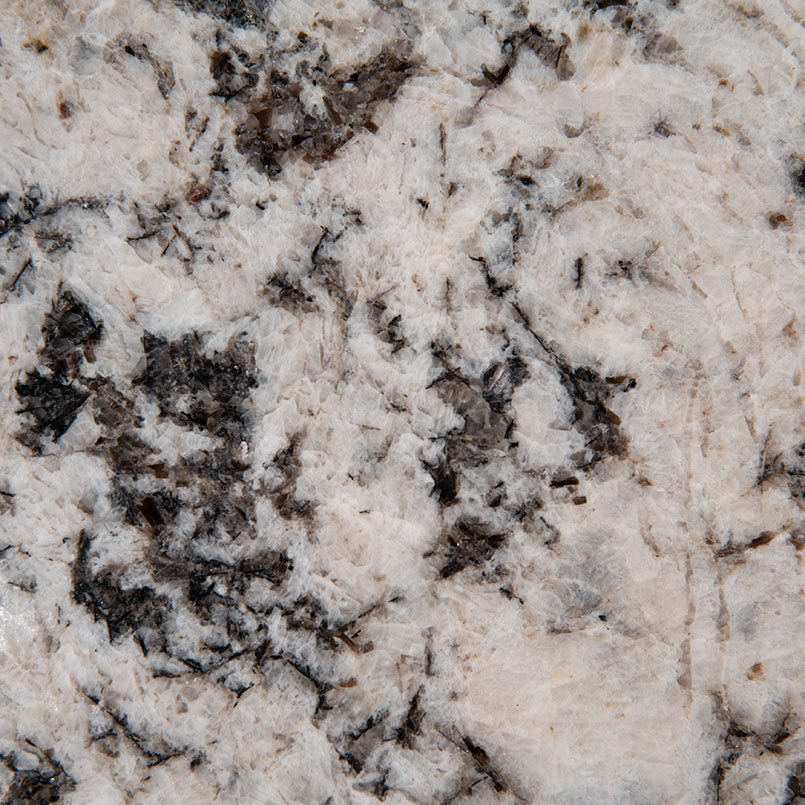 Oyster White Natural Granite in a kitchen
