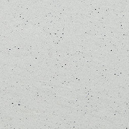 Pitaya White Natural Granite in a kitchen