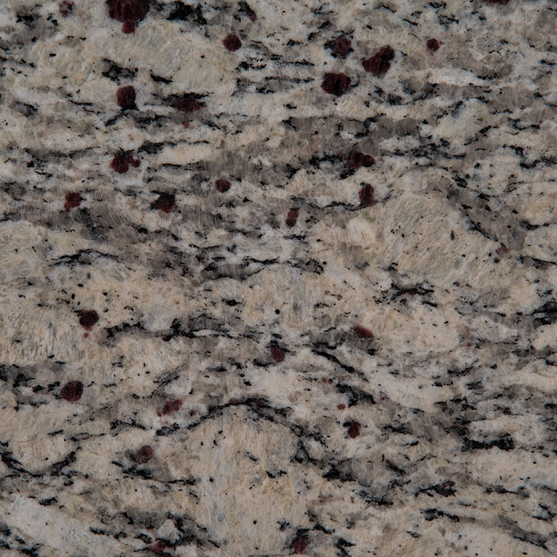 Santa Cecilia Lc Natural Granite in a kitchen