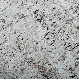 White Galaxy Natural Granite in a kitchen
