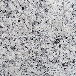 White Napoli Natural Granite in a kitchen