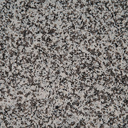 White Sparkle Natural Granite in a kitchen