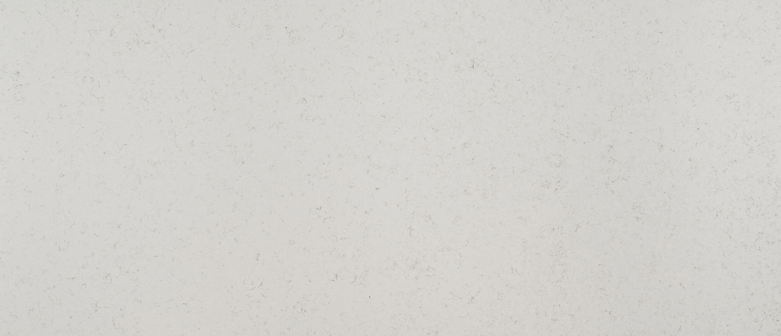 Blanca Statuarietto Quartz slab