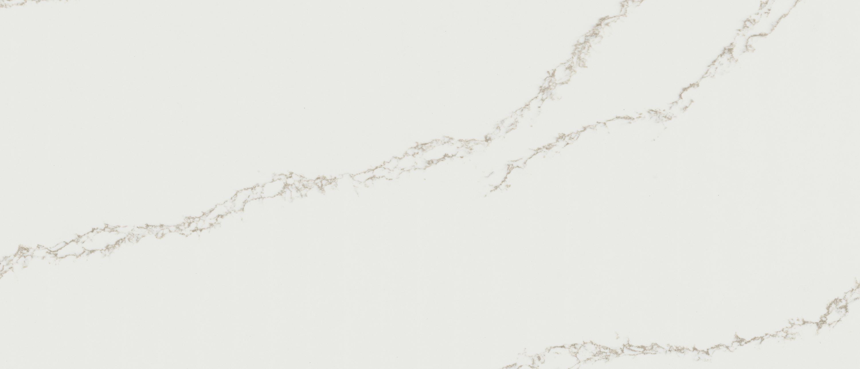 Calacatta Arno Quartz swatch
