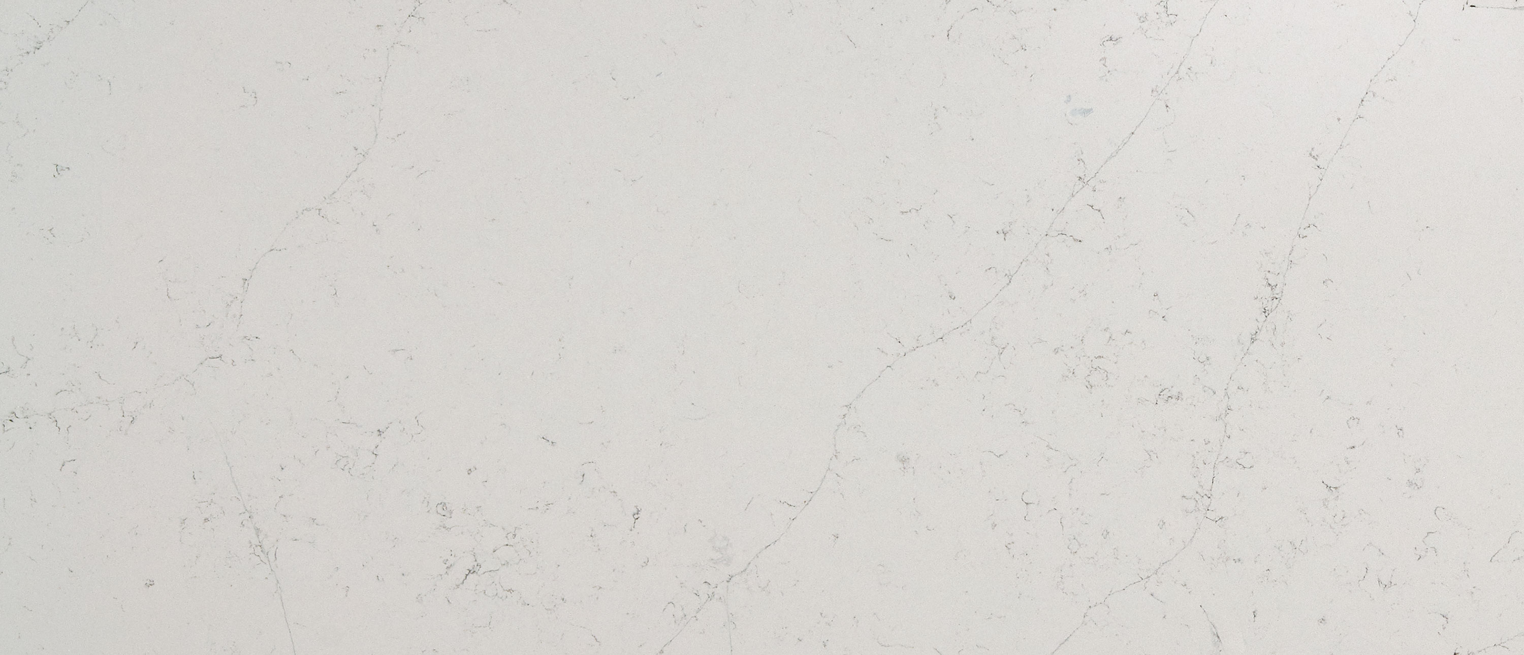 Calacatta Botanica Quartz swatch