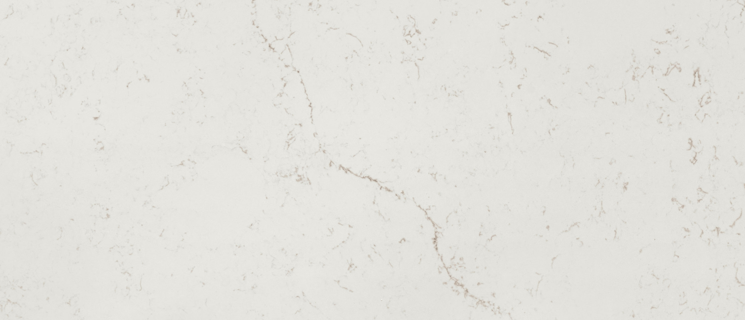 Calacatta Lavasa Quartz swatch