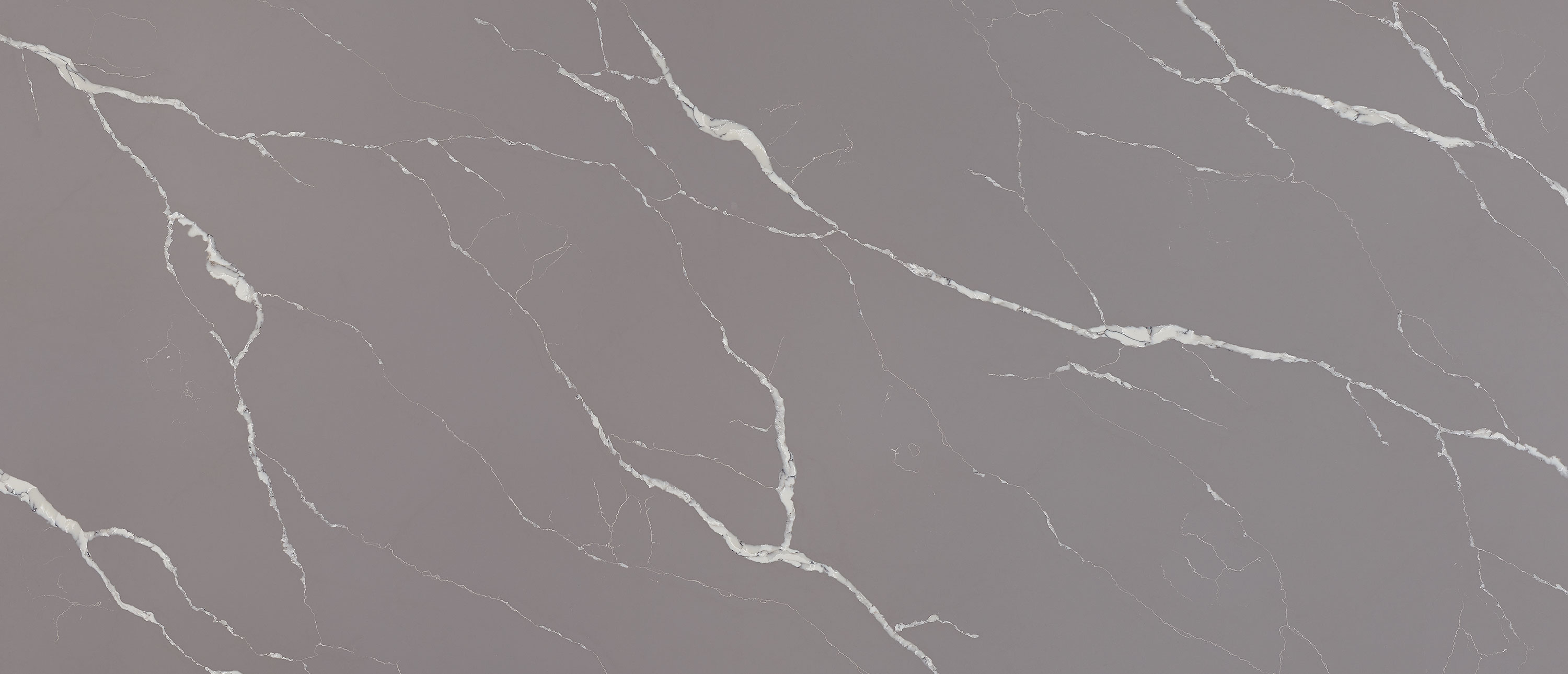 Calacatta Laza Grigio Quartz slab