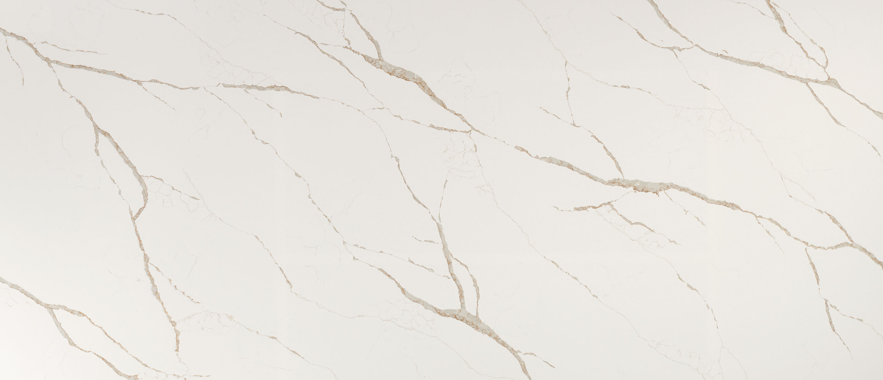 Calacatta Laza Oro Quartz swatch
