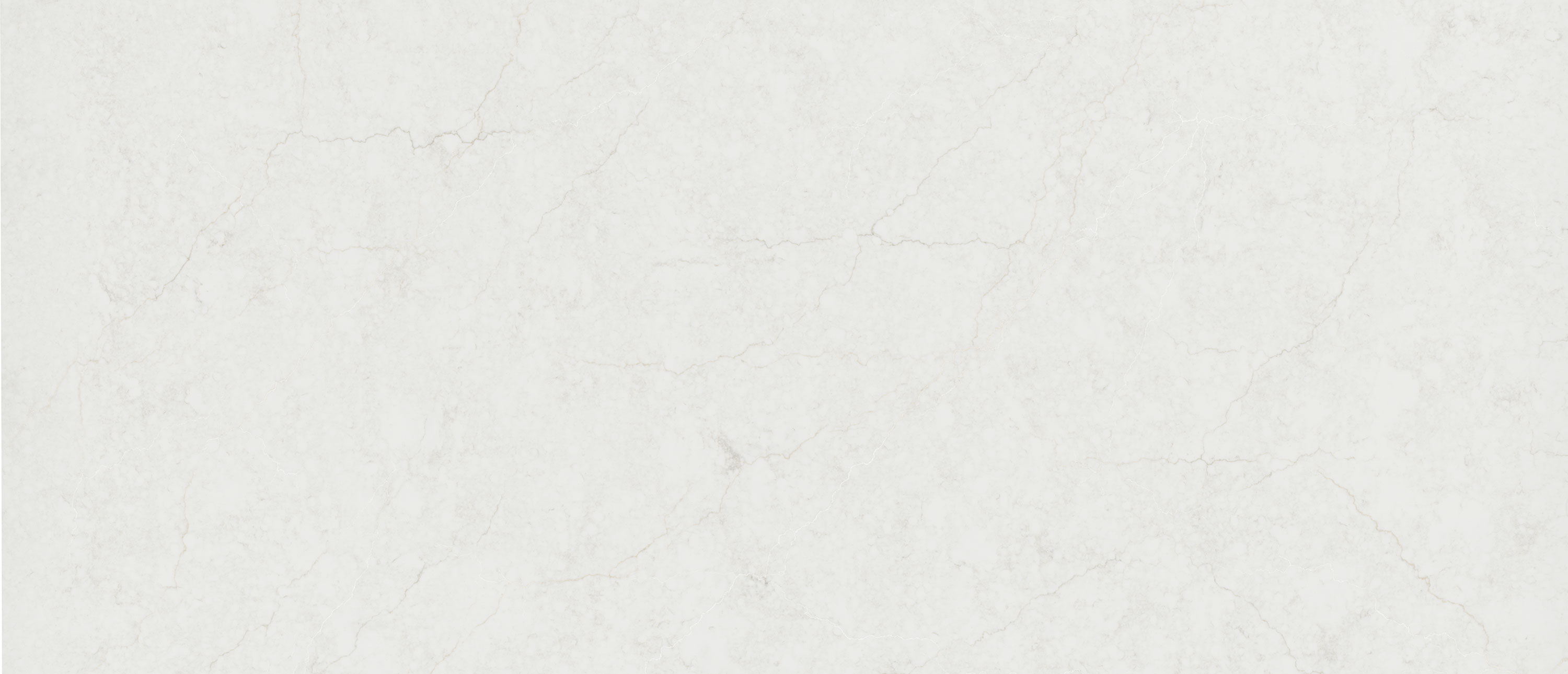 Calacatta Miraggio Cove Honed ® slab