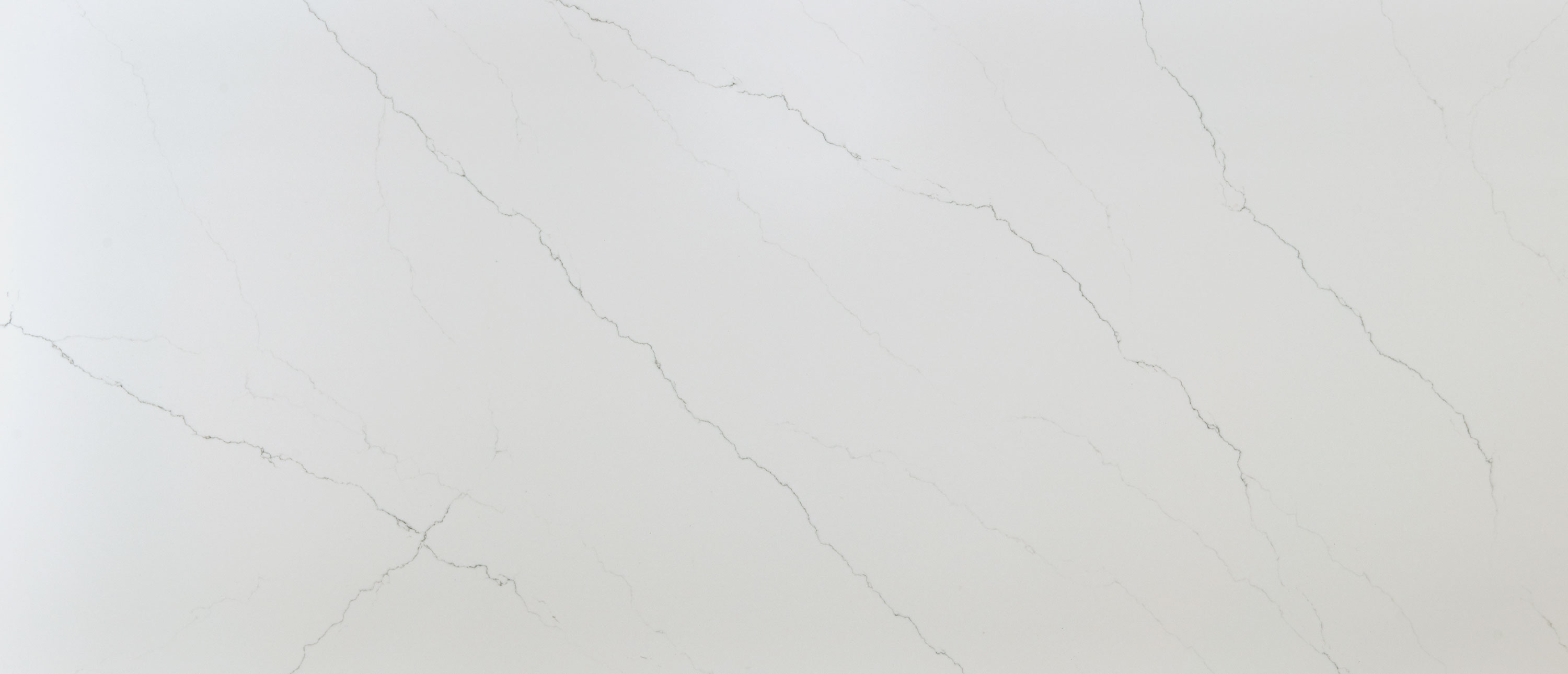 Calacatta Miraggio Quartz swatch