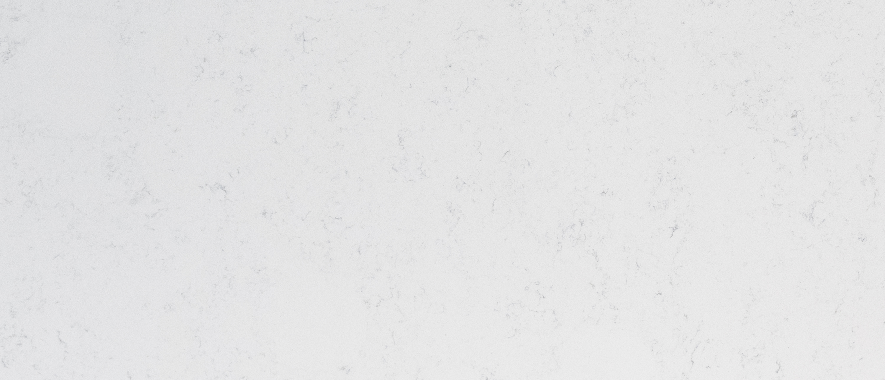 Calacatta Vicenza Quartz swatch