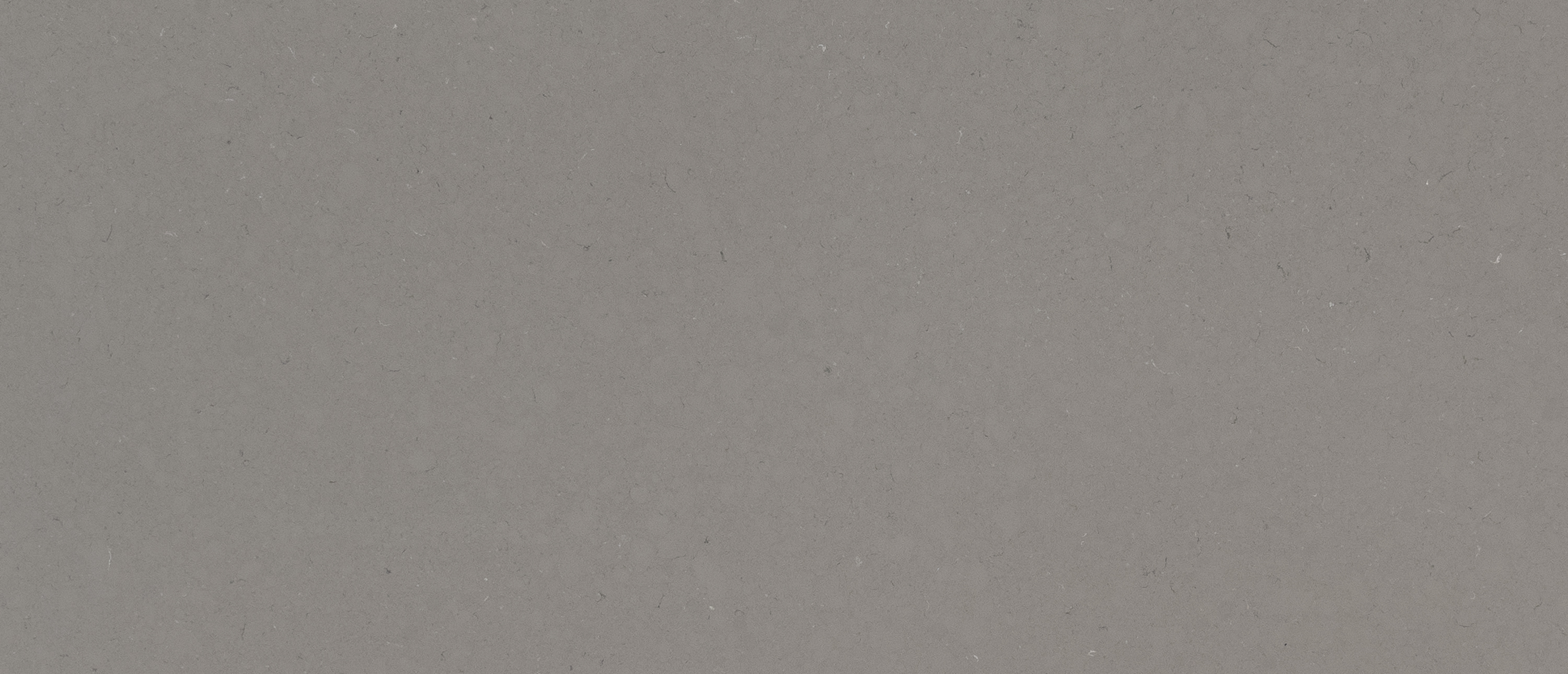 Fossil Gray Quartz swatch