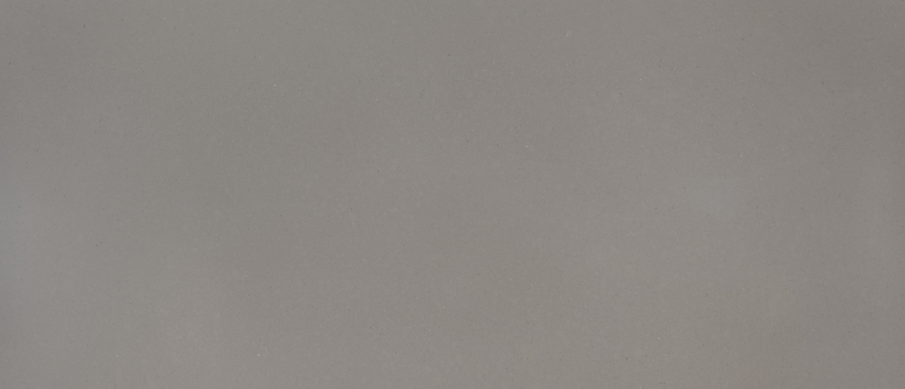 Fossil Gray Quartz slab