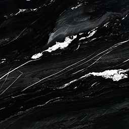 Andes Black Natural Quartzite in a kitchen