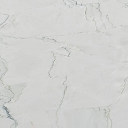 Calacatta Montreal Natural Quartzite in a kitchen