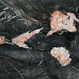 crytos Natural Quartzite in a kitchen