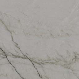 Gray Canyon Natural Quartzite in a kitchen