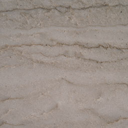 Sea Pearl Natural Quartzite in a kitchen