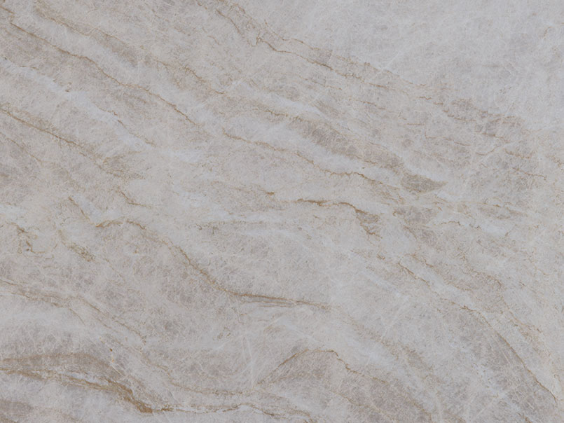 Taj Mahal Natural Quartzite in a kitchen